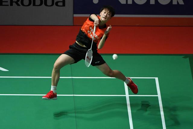 约基奇和戈 约基奇和戈